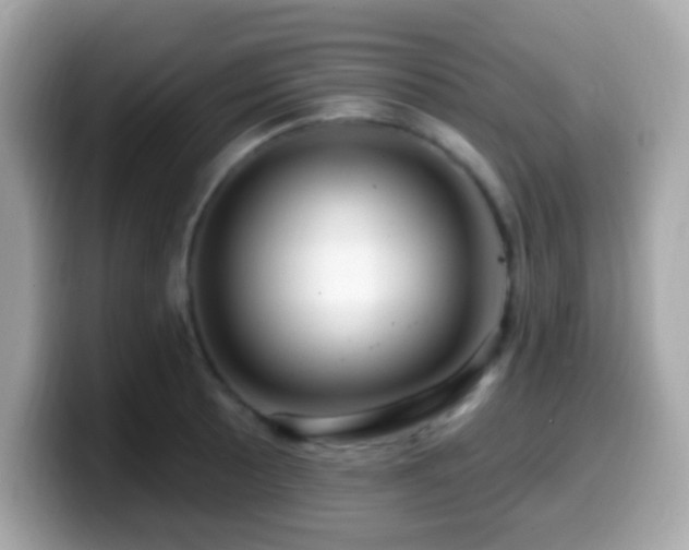 X0000099951089200805231316