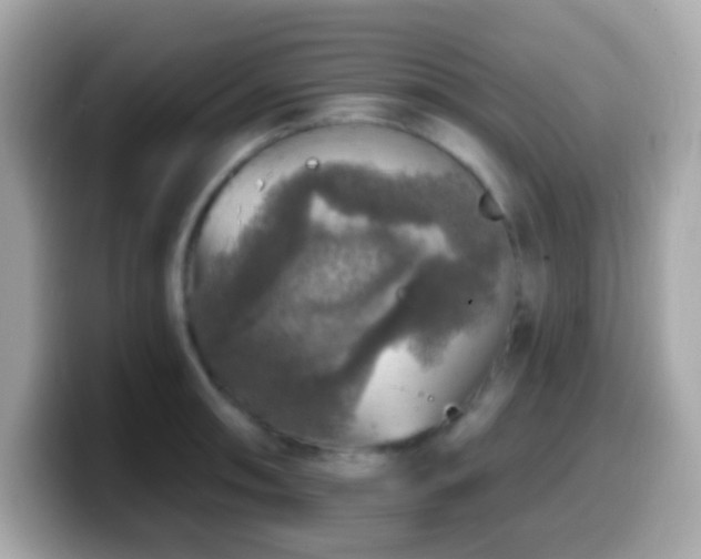 X0000099951090200805231316