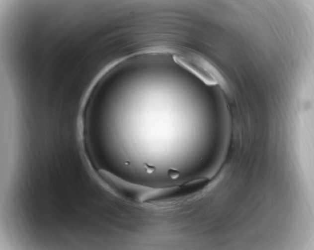X0000099951092200805231316