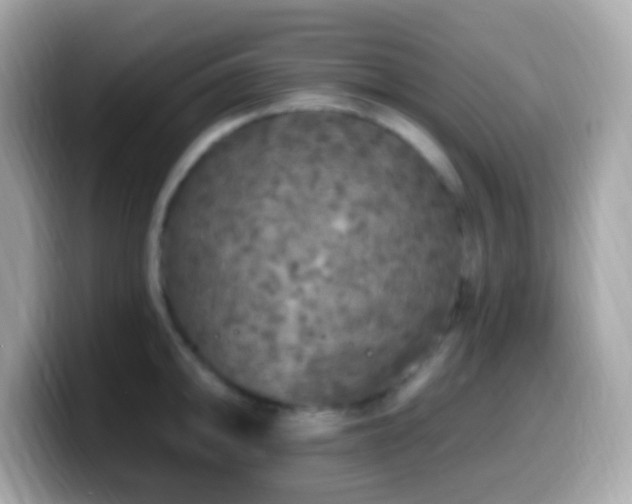 X0000099951094200805231316