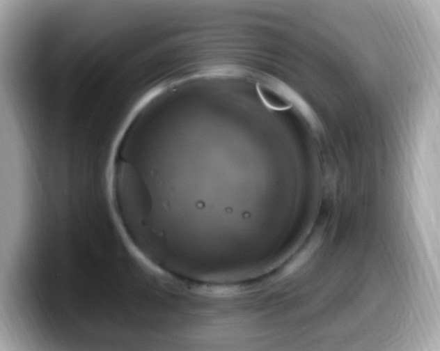 X0000099951095200805231316