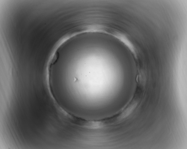X0000099951096200805231316
