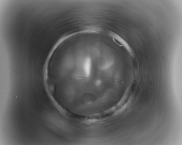 X0000099951099200805231316