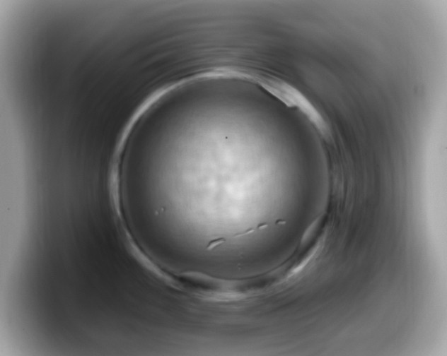 X0000099951100200805231316