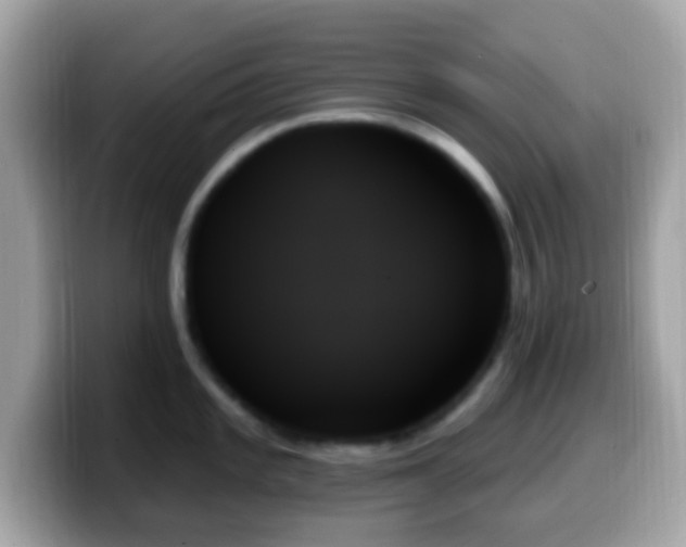 X0000099951101200805231316