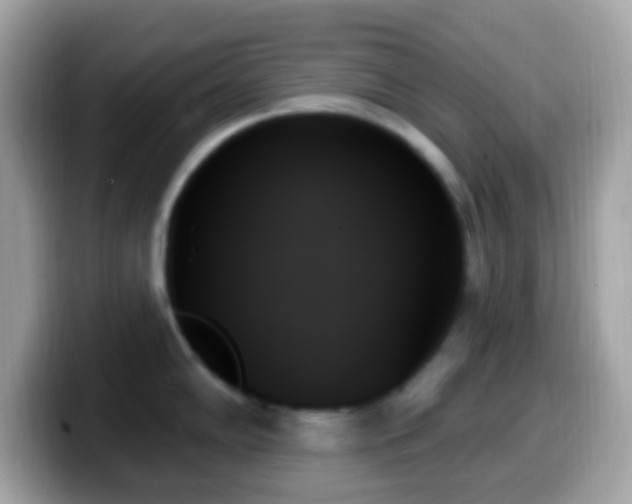 X0000099951102200805231316