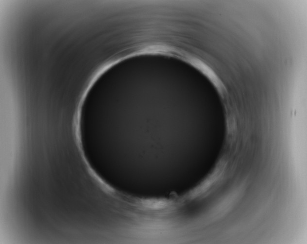X0000099951103200805231316