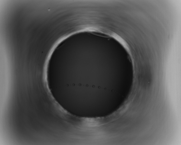 X0000099951104200805231316