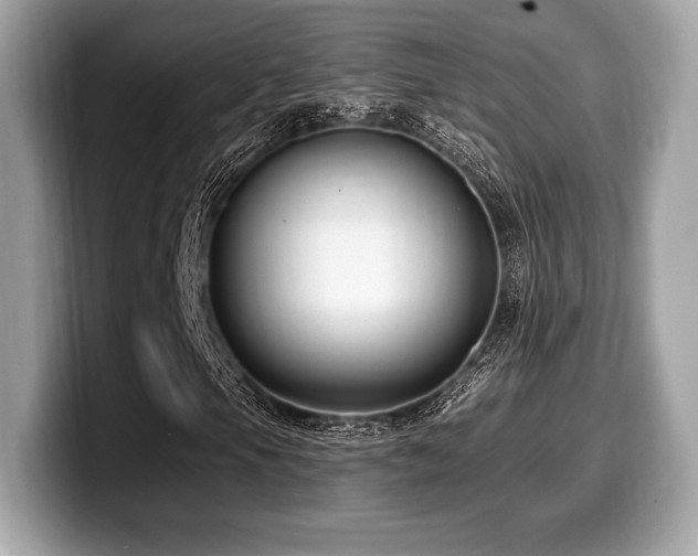 X0000099951105200805231316