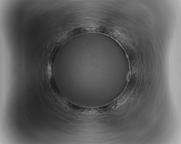 X0000099951106200805231316
