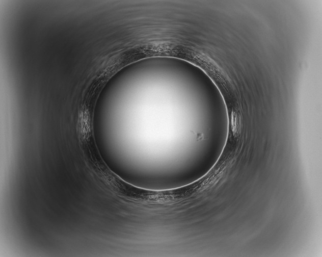 X0000099951107200805231316