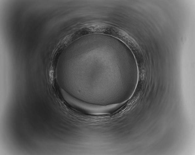 X0000099951108200805231316