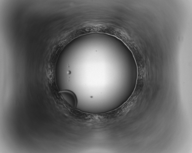 X0000099951109200805231316