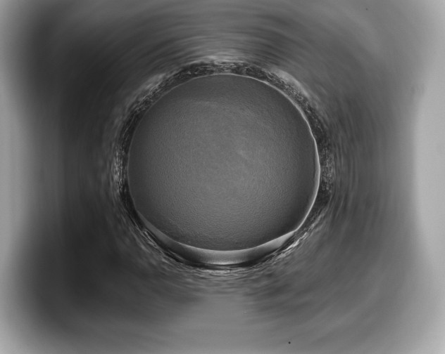X0000099951110200805231316