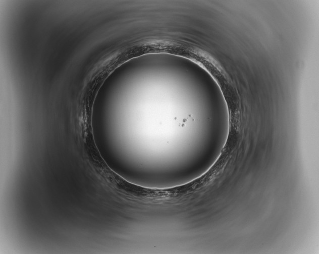 X0000099951111200805231316