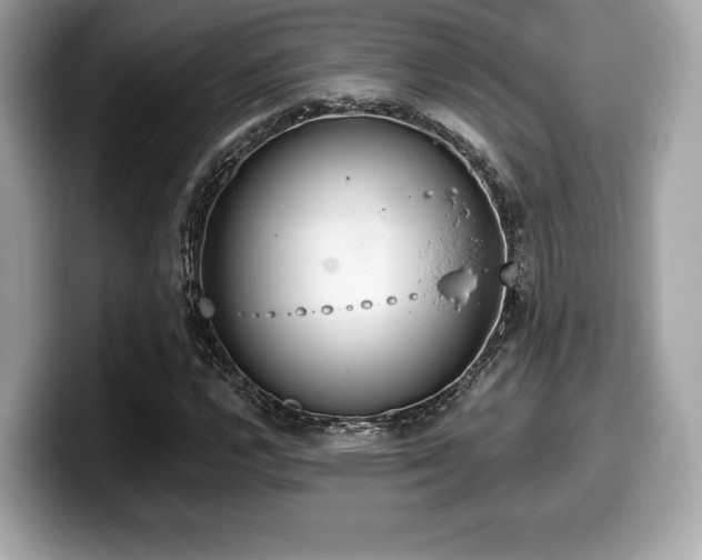 X0000099951112200805231316