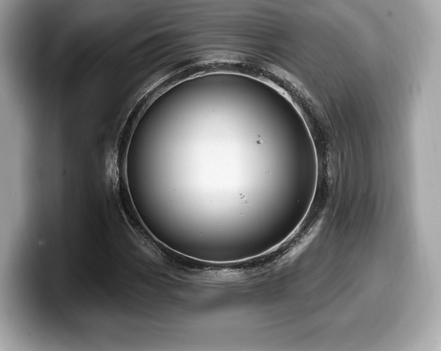 X0000099951113200805231316
