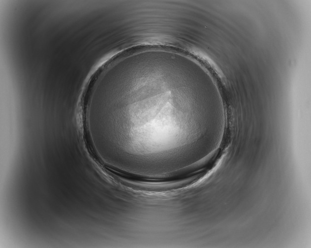 X0000099951114200805231316