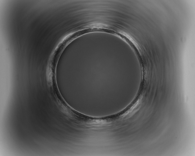 X0000099951115200805231316