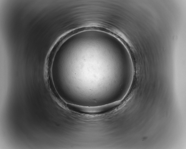 X0000099951116200805231316