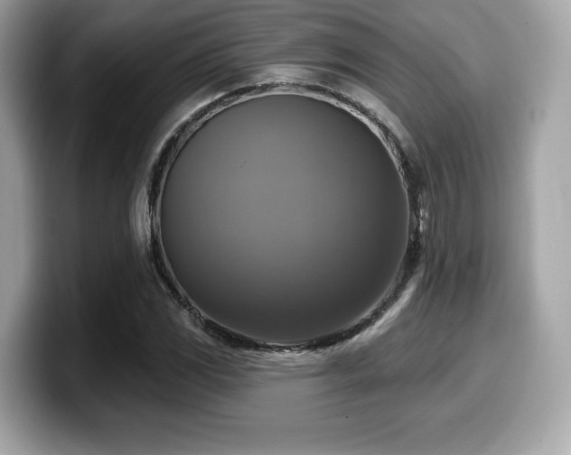 X0000099951117200805231316