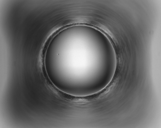 X0000099951119200805231316