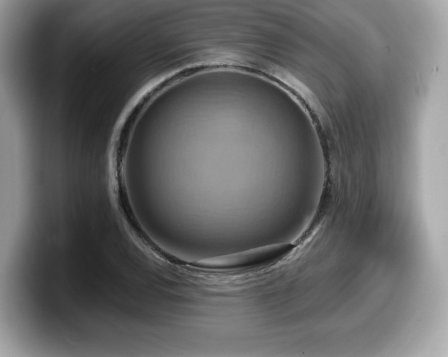 X0000099951120200805231316