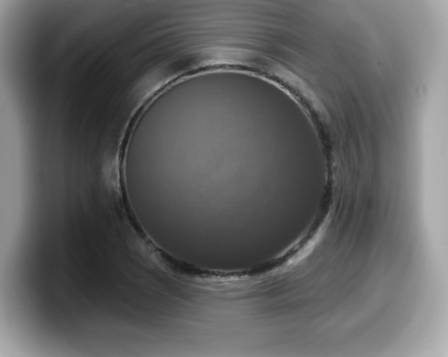X0000099951121200805231316