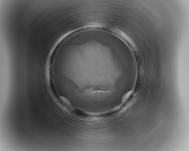 X0000099951124200805231316