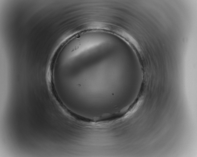 X0000099951125200805231316