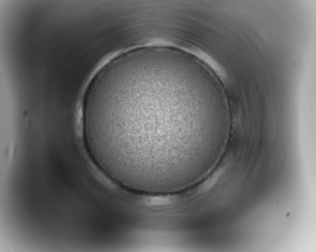 X0000099951126200805231316