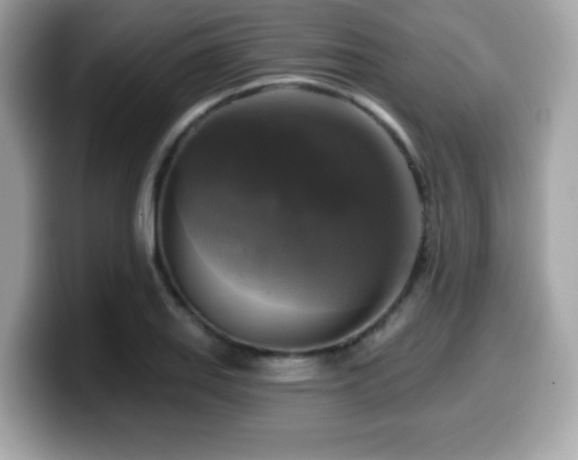 X0000099951127200805231316