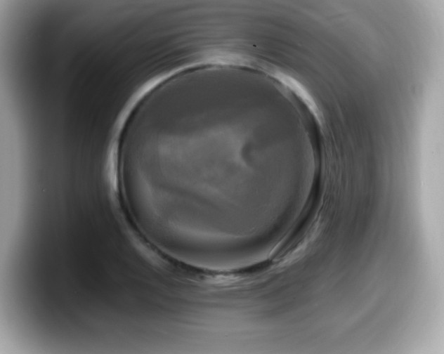 X0000099951128200805231316