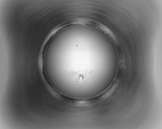 X0000099951130200805231316