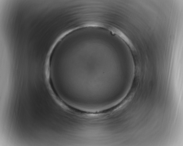 X0000099951132200805231316