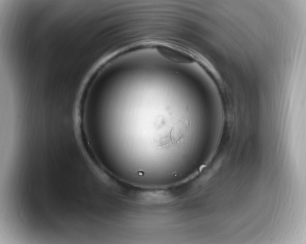 X0000099951133200805231316