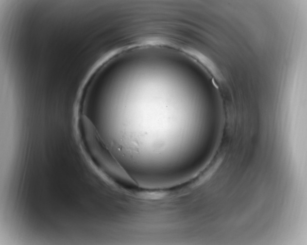 X0000099951134200805231316