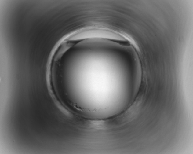 X0000099951136200805231316