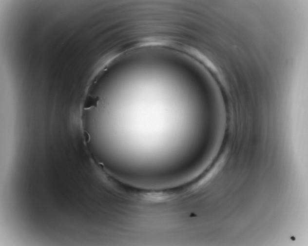 X0000099951137200805231316