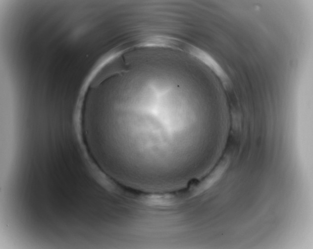 X0000099951138200805231316