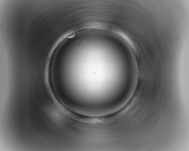 X0000099951139200805231316