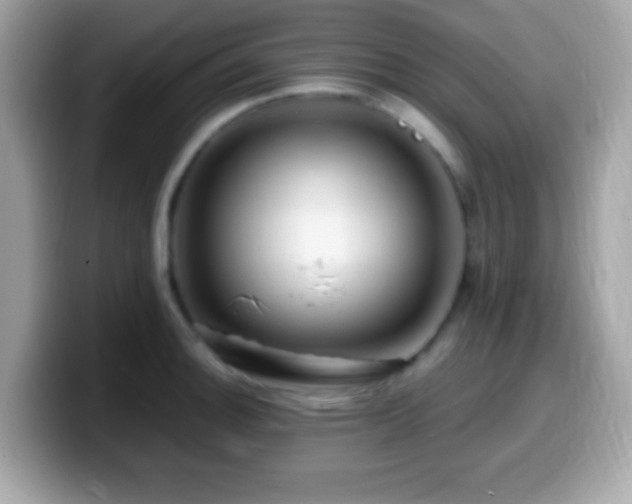 X0000099951140200805231316