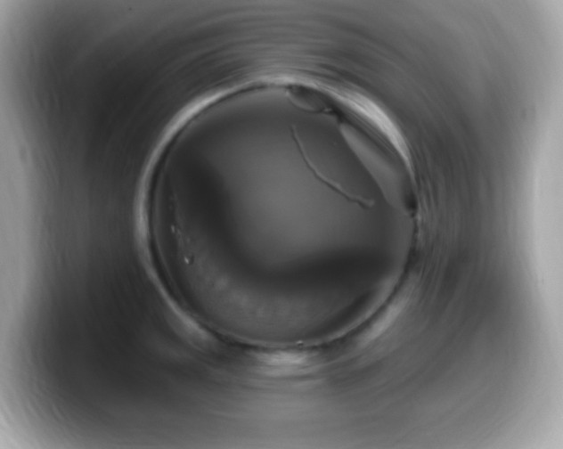 X0000099951141200805231316