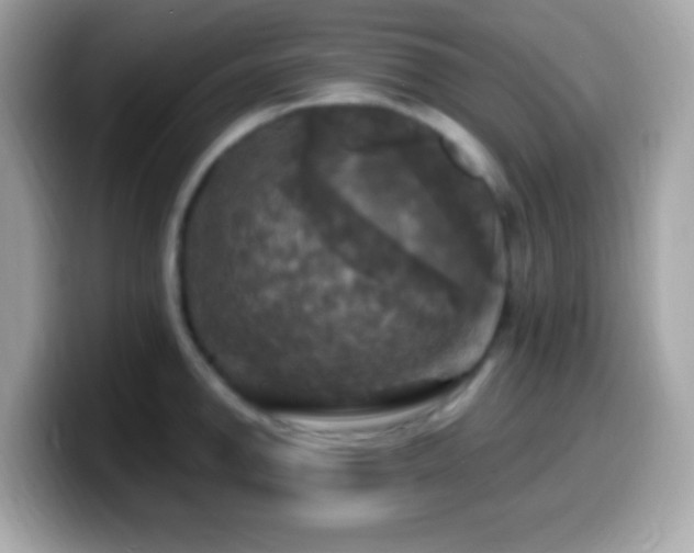 X0000099951142200805231316