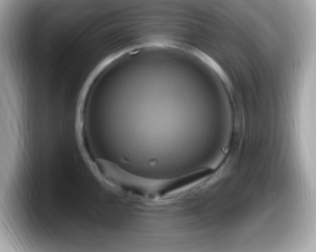 X0000099951144200805231316
