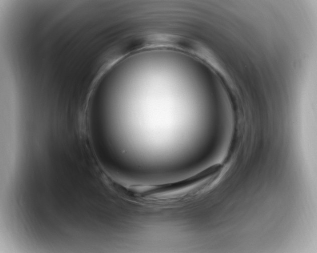 X0000099951145200805231316