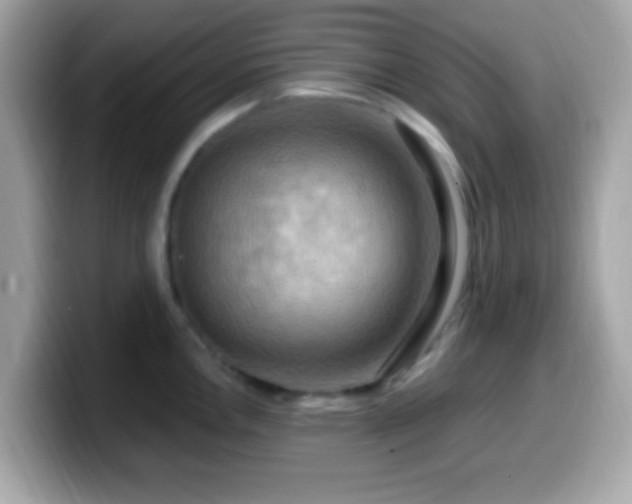 X0000099951146200805231316