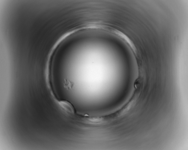 X0000099951147200805231316