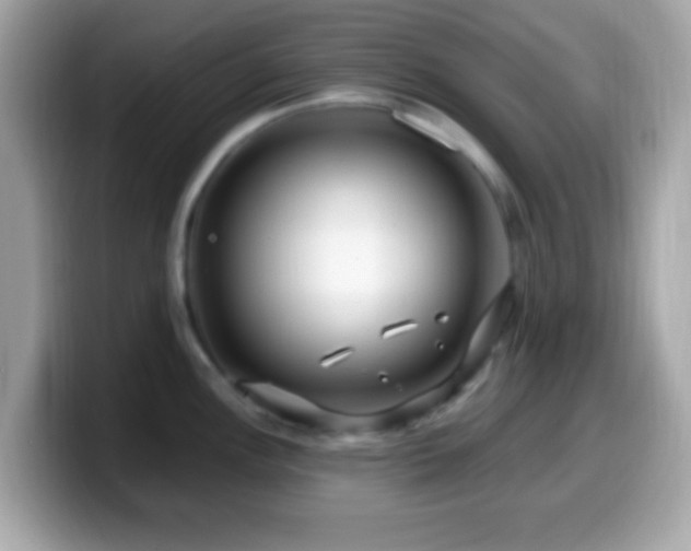 X0000099951148200805231316