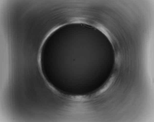 X0000099951149200805231316